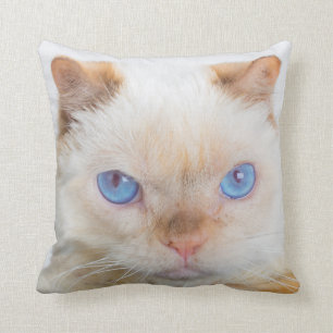 Trident the Cat Throw Pillow