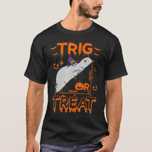Trig Or Treat Hippopotamus Math Teacher Costume Ha T-Shirt
