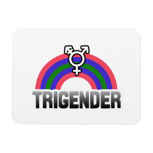 Trigender Pride Magnet