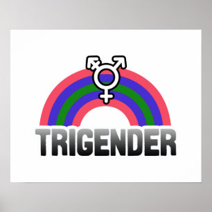 Trigender Pride Poster