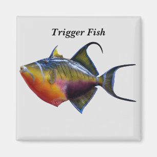 Trigger Fish Magnet