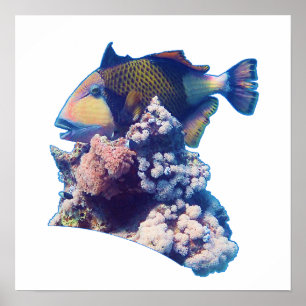 Triggerfish - Organic Crop View at Coral Reef    Poster