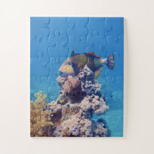 Triggerfish - Picturesque on Top of Coral Block Jigsaw Puzzle