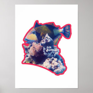 Triggerfish Red-Bordered Organic Crop View Poster