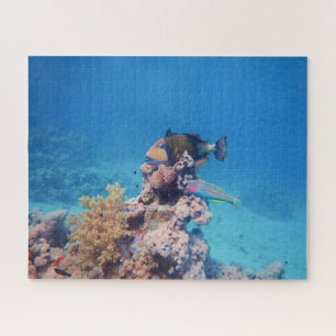Triggerfish rests on a coral block at coral reef jigsaw puzzle