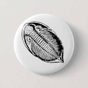 Triliobite fossil 6 cm round badge