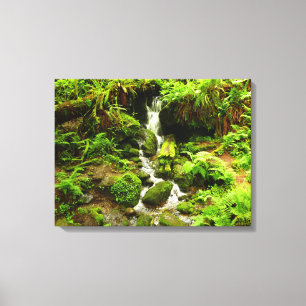 Trillium Falls at Redwood National Park Canvas Print
