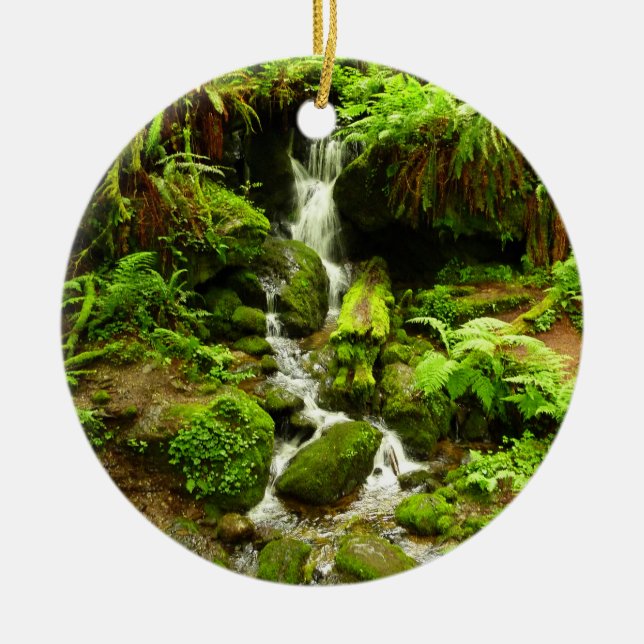 Trillium Falls at Redwood National Park Ceramic Tree Decoration (Front)