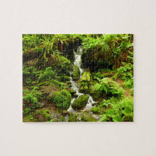 Trillium Falls at Redwood National Park Jigsaw Puzzle