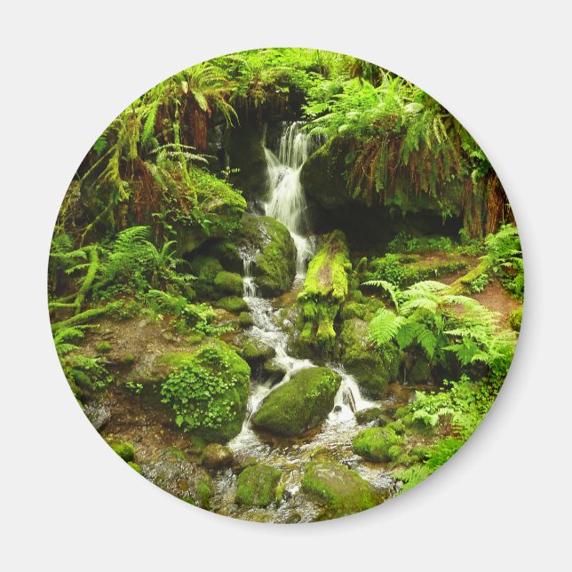 Trillium Falls at Redwood National Park Magnet (Front)