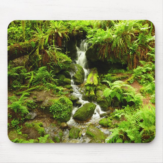 Trillium Falls at Redwood National Park Mouse Mat (Front)