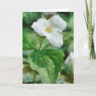 Trillium Flower Greeting Card Artwork