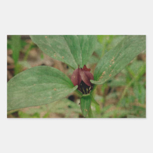 Trillium Flower Rectangular Sticker