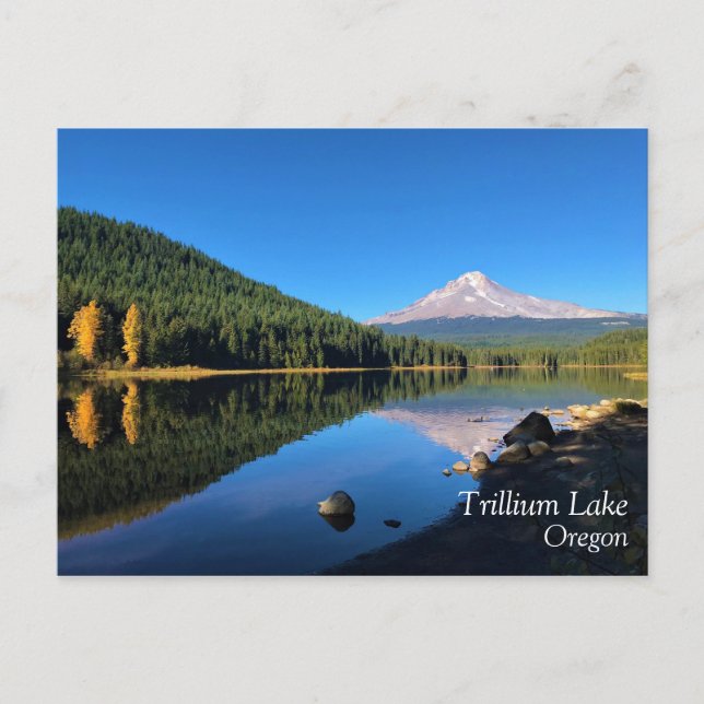 Trillium Lake, Oregon Postcard (Front)