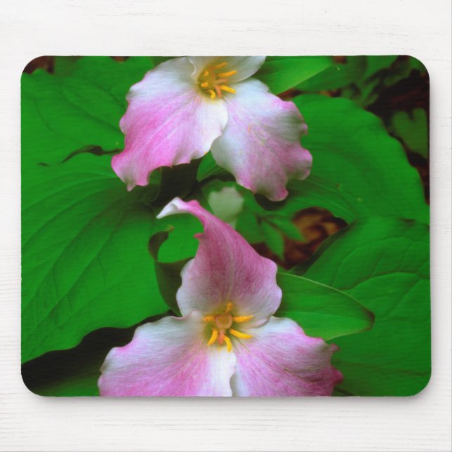 Trillium Wildflower Mouse Mat (Front)