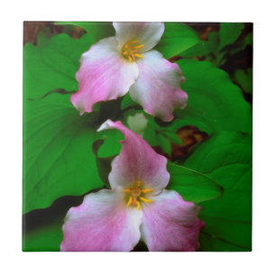 Trillium Wildflower Tile