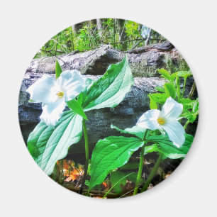 TRILLIUMS MAGNET