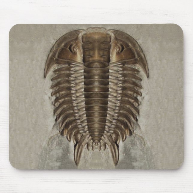 Trilobite Fossil Mousepad (Front)