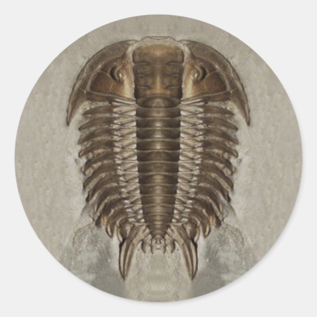 Trilobite Fossil Sticker (Front)