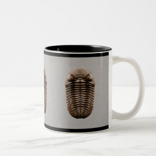 Trilobite Mug