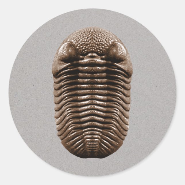 Trilobite Sticker (Front)
