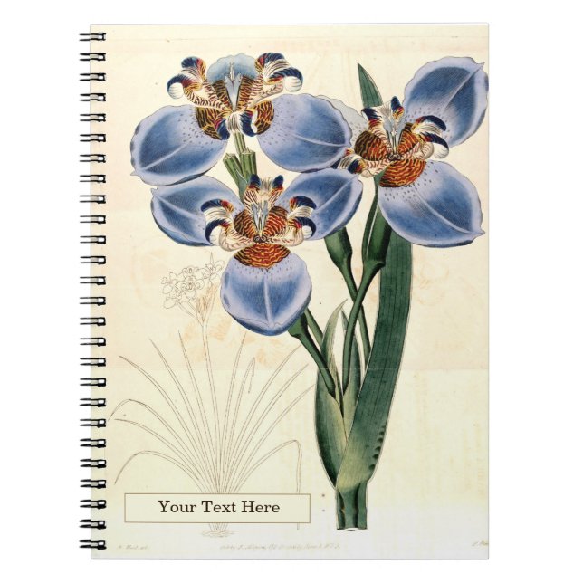 Trimezia Spiral Photo Notebook (Front)