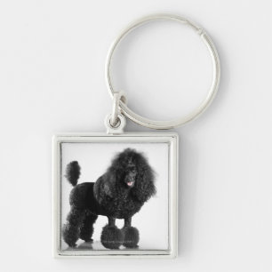 Trimmed black Poodle Key Ring