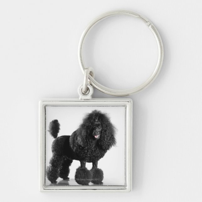 Trimmed black Poodle Key Ring (Front)