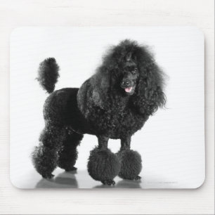 Trimmed black poodle mouse mat