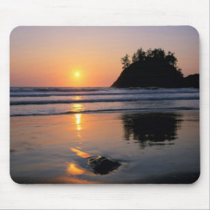 Trinidad State Beach, California. USA. Sea Mouse Mat