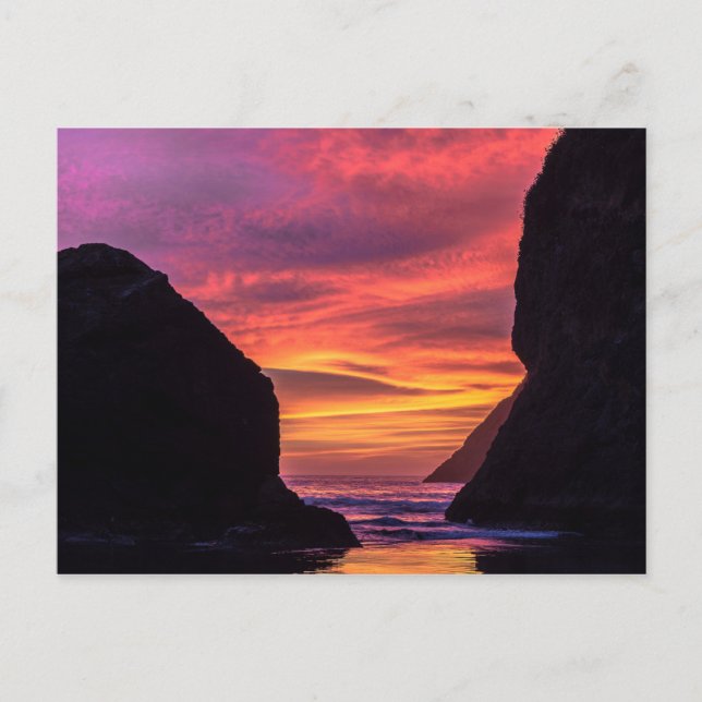Trinidad Sunset Postcard (Front)