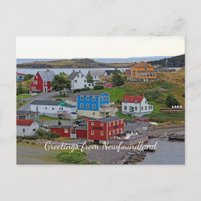Trinity Newfoundland Postcard (Front)