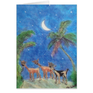 Trio in the Moonlight