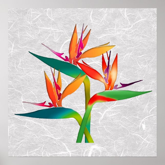 Trio of Birds of Paradise Poster (Front)