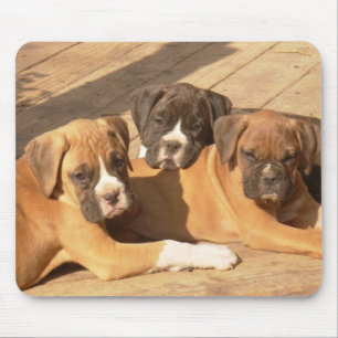 Trio of boxer puppies mousepad