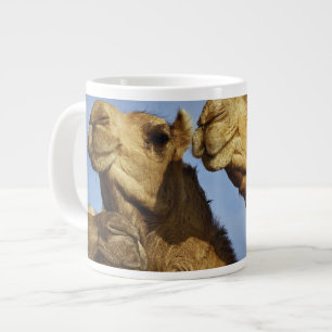 Trio of camels, camel market, Cairo, Egypt Large Coffee Mug
