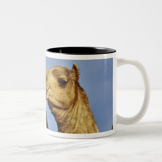 Trio of camels, camel market, Cairo, Egypt Two-Tone Coffee Mug (Right)