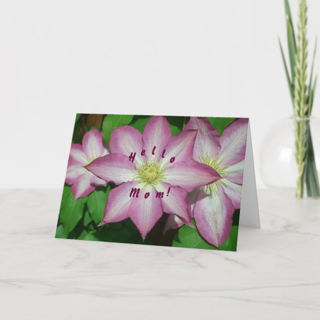 Trio of Clematis Pink and White Spring Vine Card (Front)