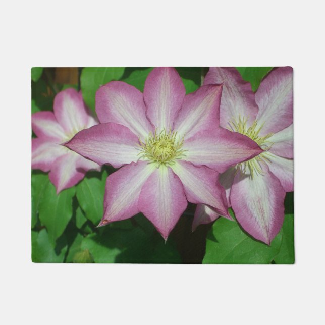 Trio of Clematis Pink and White Spring Vine Doormat (Front)