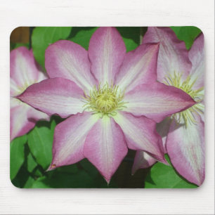 Trio of Clematis Pink and White Spring Vine Mouse Mat