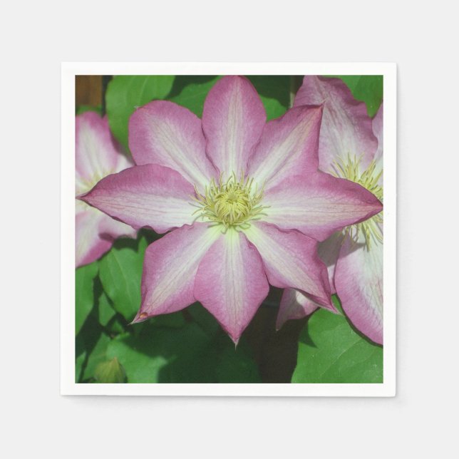 Trio of Clematis Pink and White Spring Vine Napkin (Front)
