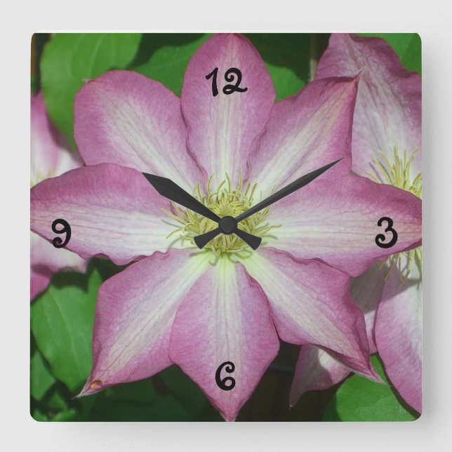 Trio of Clematis Pink and White Spring Vine Square Wall Clock (Front)