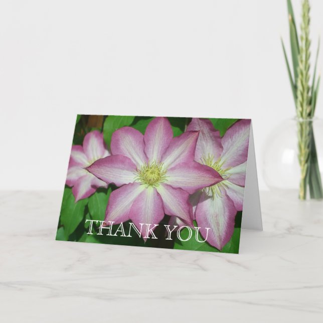 Trio of Clematis Pink and White Spring Vine Thank You Card (Front)