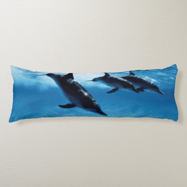 Trio of Dolphins Body Cushion (Front)