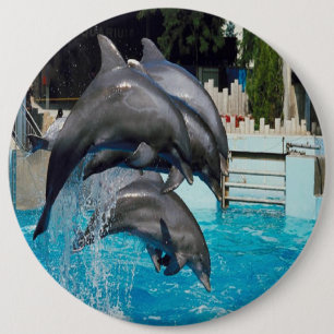 Trio-of-dolphins, button. 6 cm round badge