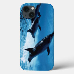 Trio of Dolphins iPhone 13 Case