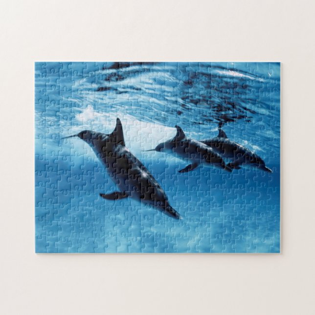 Trio of Dolphins Jigsaw Puzzle (Horizontal)