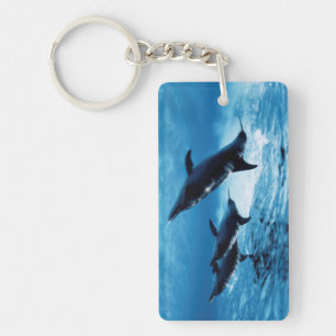 Trio of Dolphins Key Ring
