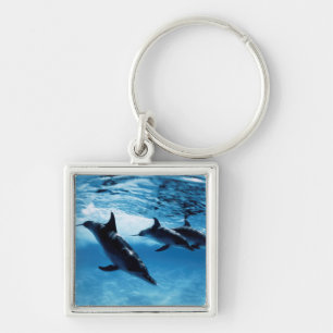 Trio of Dolphins Key Ring