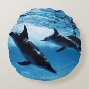 Trio of Dolphins Round Cushion